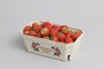 Emballage de fraises - Barquettes pulpe