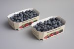 Berries 12007 Cardboard Tray Punnet NNZ