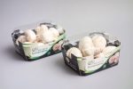 Imballagi di funghi - Vassoi di cartone